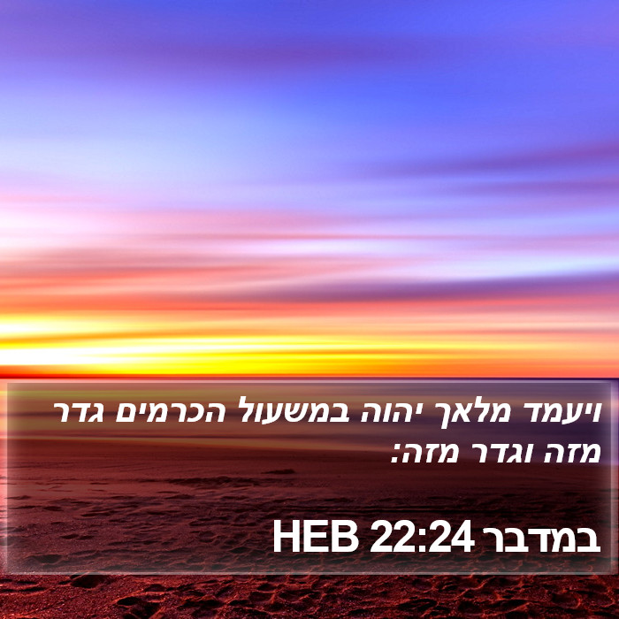 במדבר 22:24 HEB Bible Study