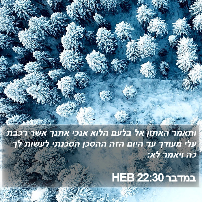 במדבר 22:30 HEB Bible Study