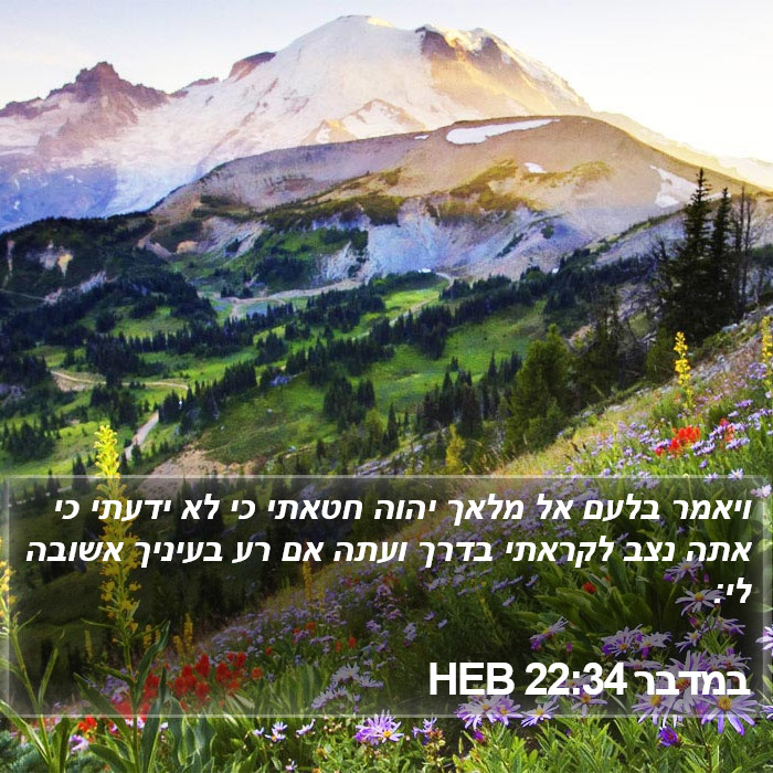 במדבר 22:34 HEB Bible Study