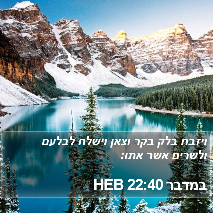 במדבר 22:40 HEB Bible Study