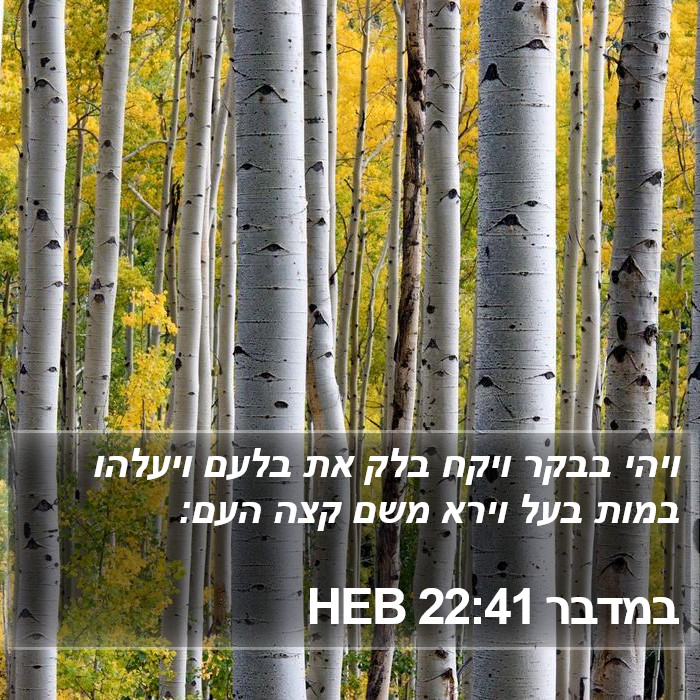 במדבר 22:41 HEB Bible Study