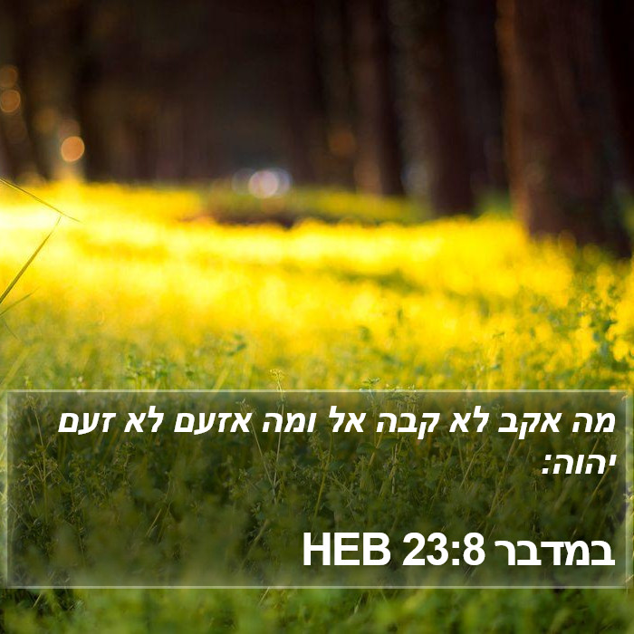 במדבר 23:8 HEB Bible Study