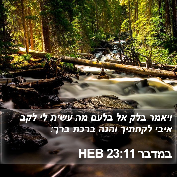 במדבר 23:11 HEB Bible Study