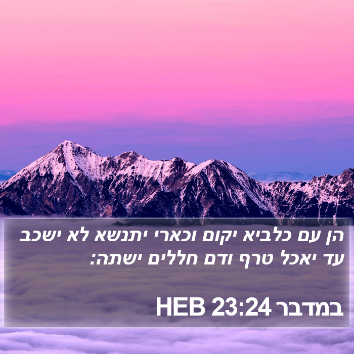 במדבר 23:24 HEB Bible Study