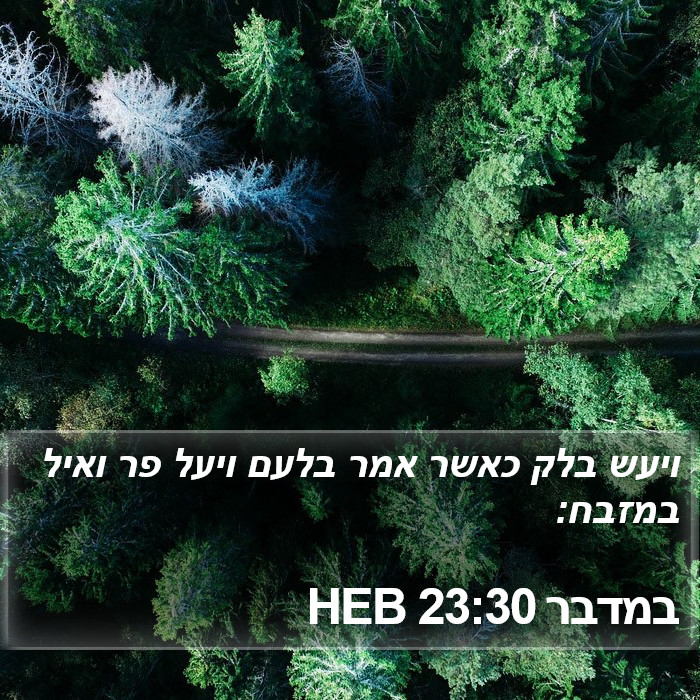 במדבר 23:30 HEB Bible Study