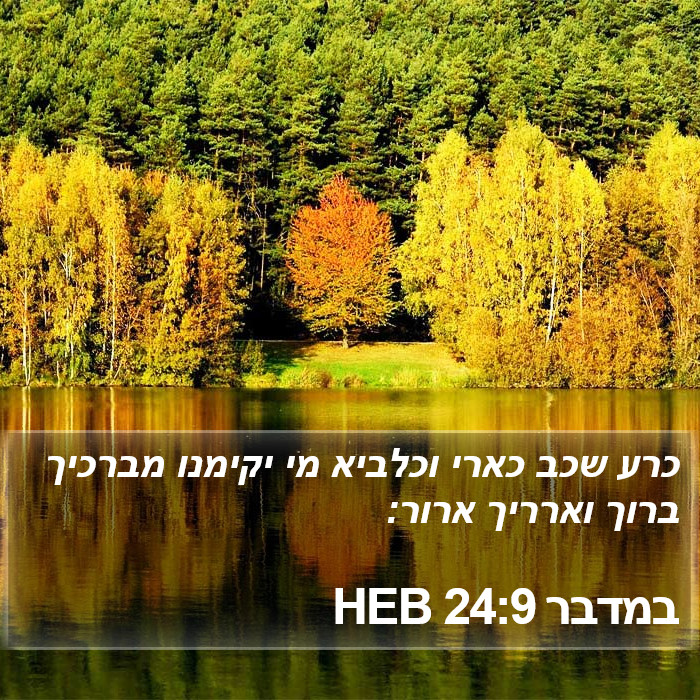 במדבר 24:9 HEB Bible Study