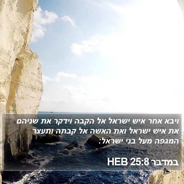 במדבר 25:8 HEB Bible Study