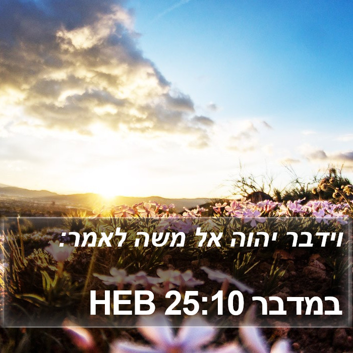 במדבר 25:10 HEB Bible Study