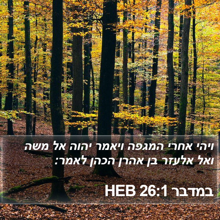 במדבר 26:1 HEB Bible Study