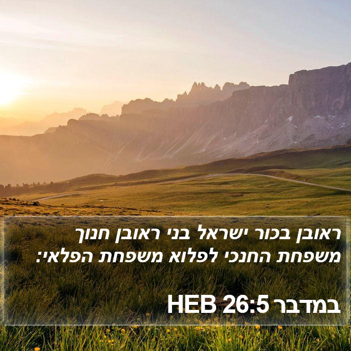 במדבר 26:5 HEB Bible Study