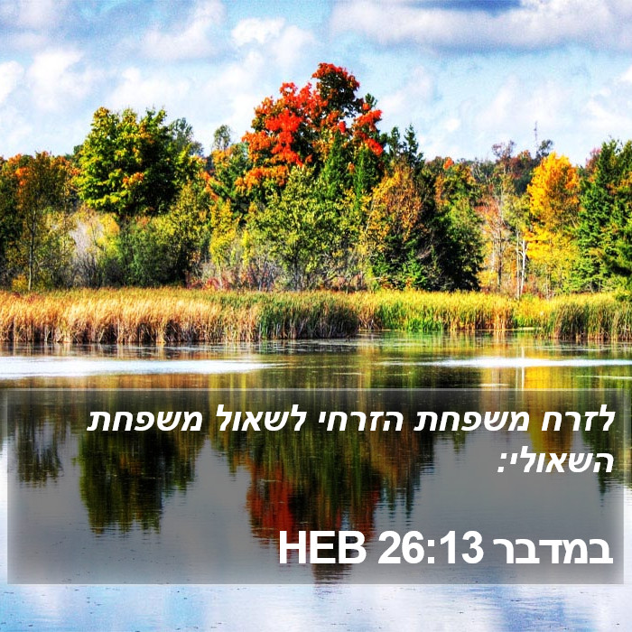 במדבר 26:13 HEB Bible Study