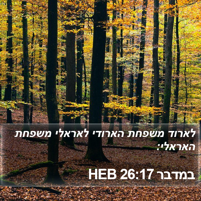 במדבר 26:17 HEB Bible Study