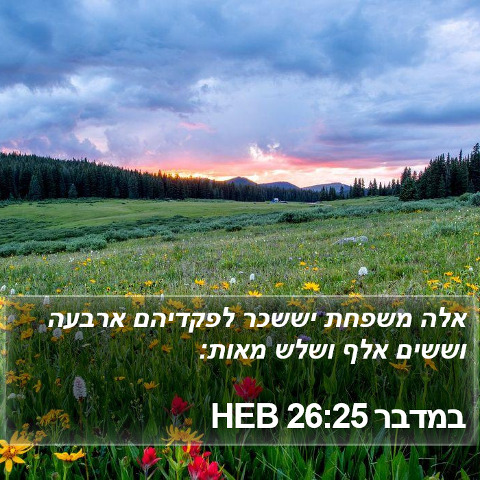 במדבר 26:25 HEB Bible Study