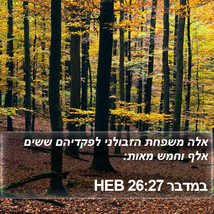 במדבר 26:27 HEB Bible Study