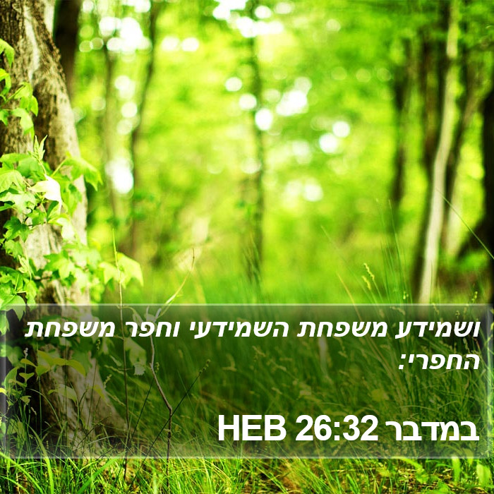 במדבר 26:32 HEB Bible Study