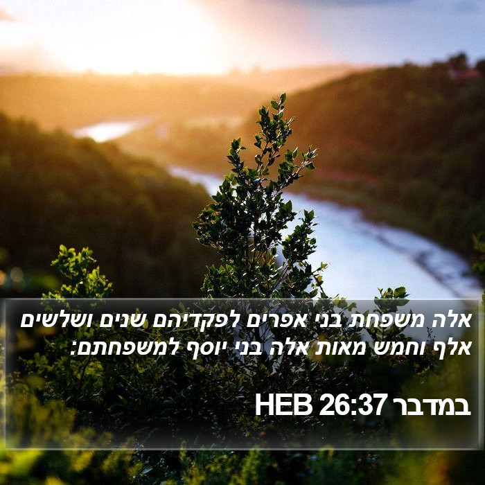 במדבר 26:37 HEB Bible Study