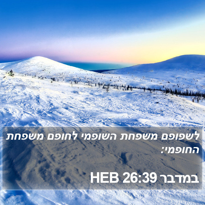 במדבר 26:39 HEB Bible Study