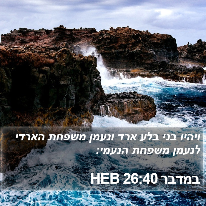 במדבר 26:40 HEB Bible Study