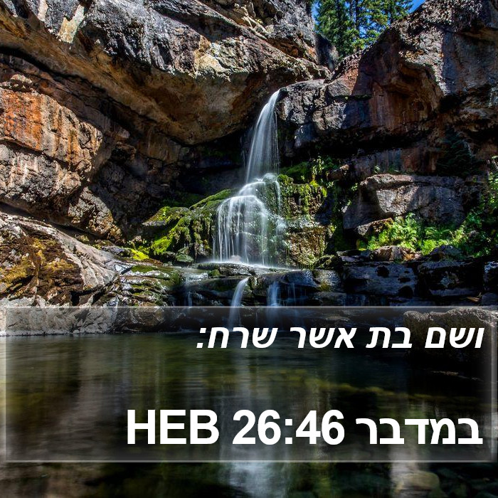 במדבר 26:46 HEB Bible Study