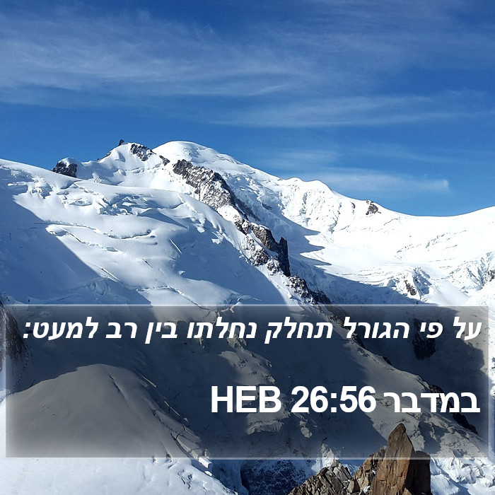 במדבר 26:56 HEB Bible Study