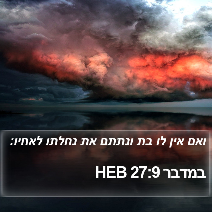 במדבר 27:9 HEB Bible Study