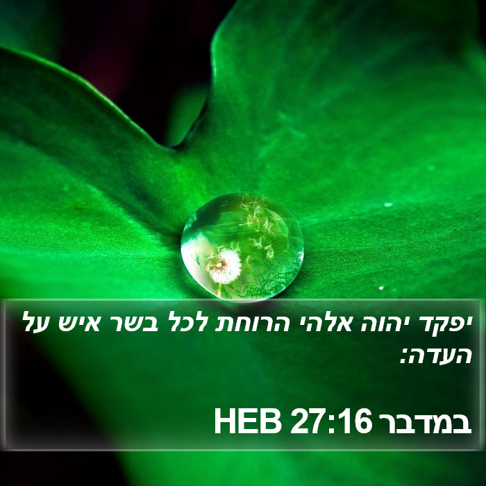 במדבר 27:16 HEB Bible Study