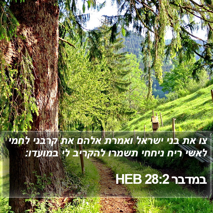 במדבר 28:2 HEB Bible Study