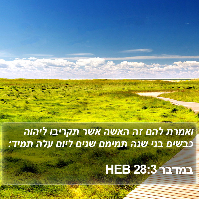 במדבר 28:3 HEB Bible Study