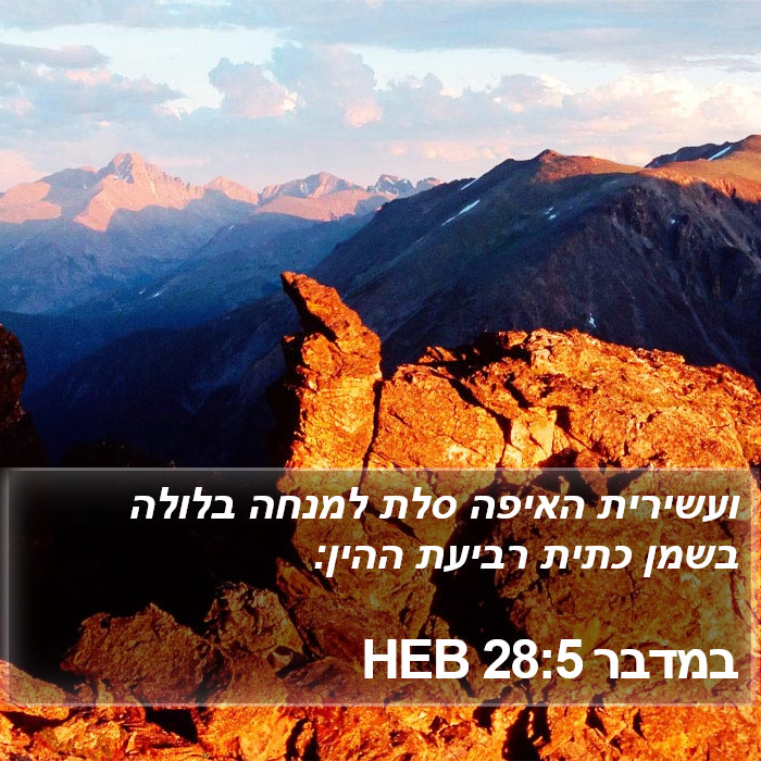 במדבר 28:5 HEB Bible Study