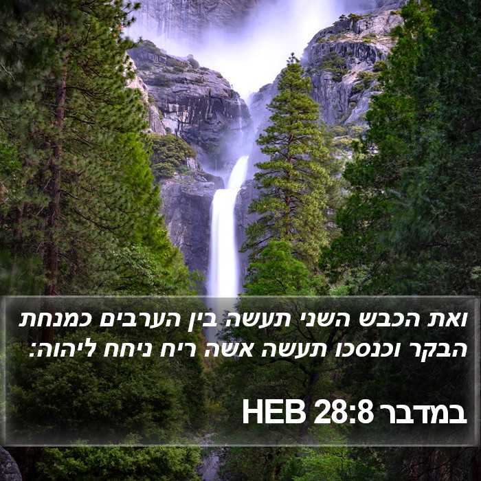 במדבר 28:8 HEB Bible Study