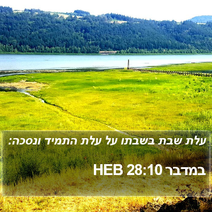 במדבר 28:10 HEB Bible Study