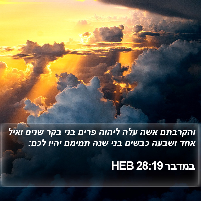 במדבר 28:19 HEB Bible Study