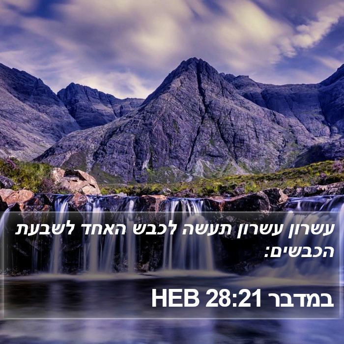 במדבר 28:21 HEB Bible Study