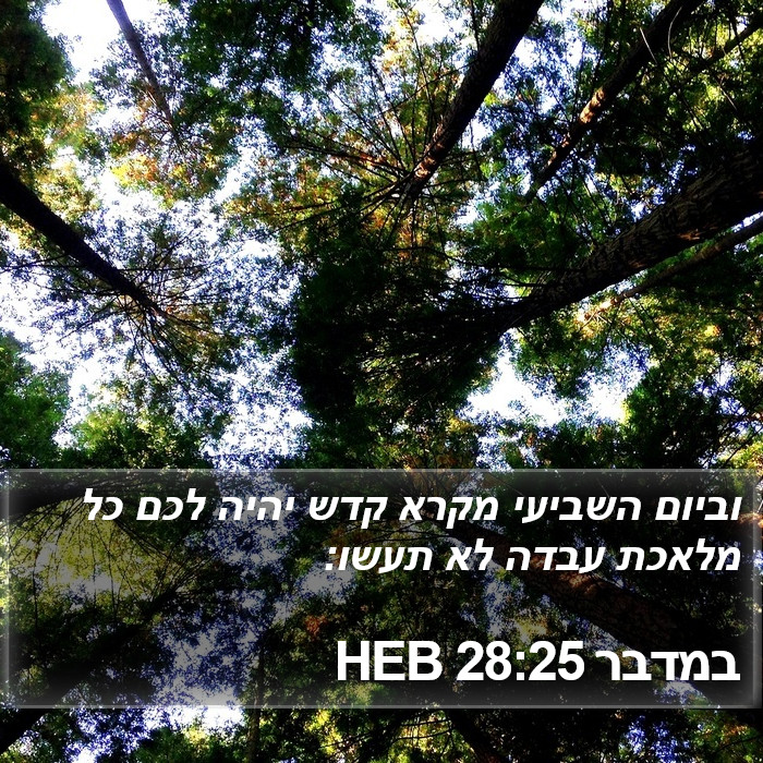 במדבר 28:25 HEB Bible Study