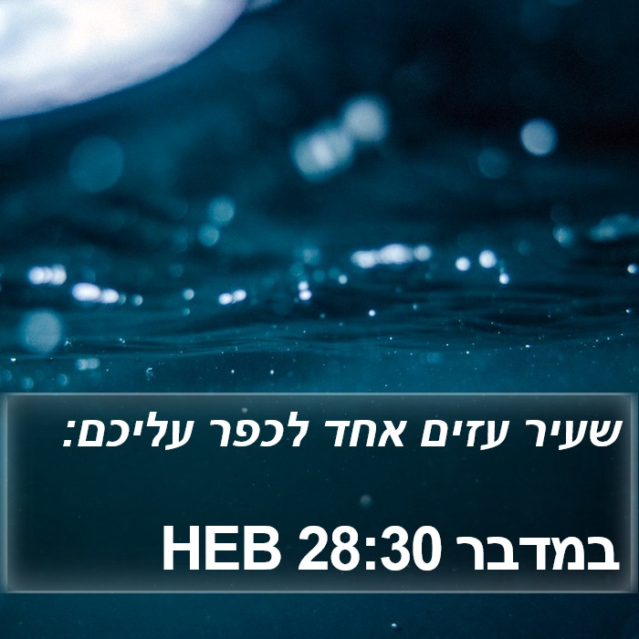 במדבר 28:30 HEB Bible Study