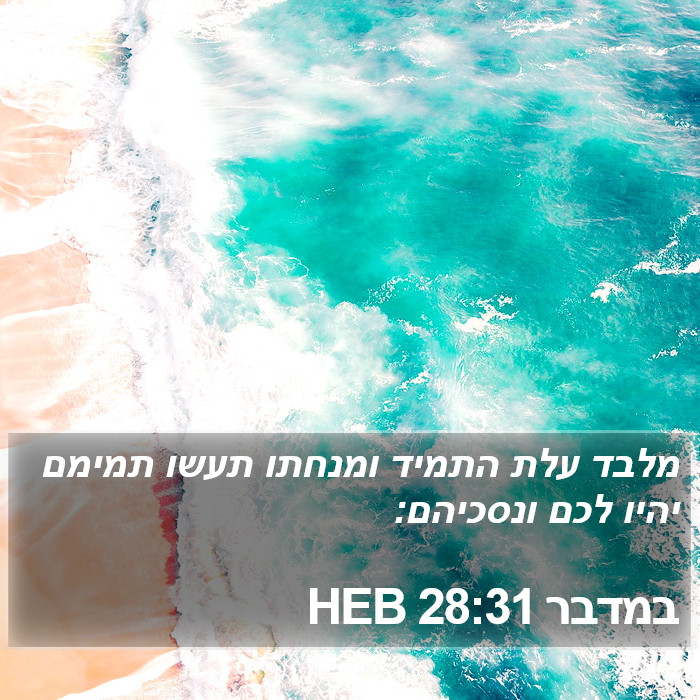 במדבר 28:31 HEB Bible Study