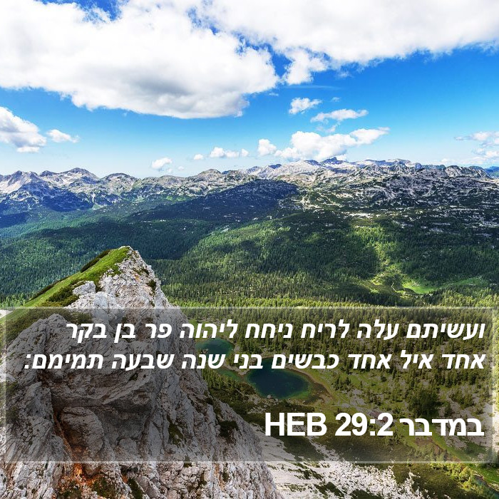 במדבר 29:2 HEB Bible Study