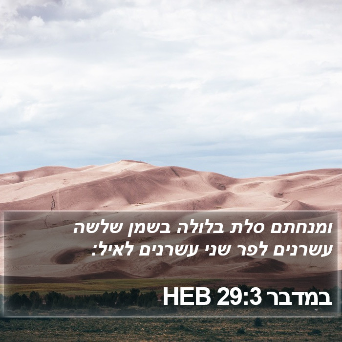 במדבר 29:3 HEB Bible Study