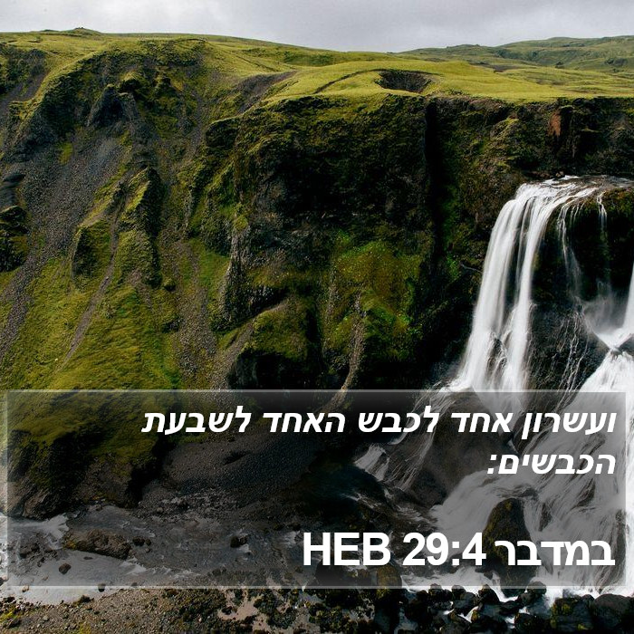 במדבר 29:4 HEB Bible Study