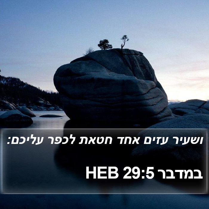 במדבר 29:5 HEB Bible Study