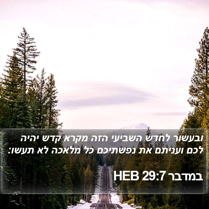 במדבר 29:7 HEB Bible Study