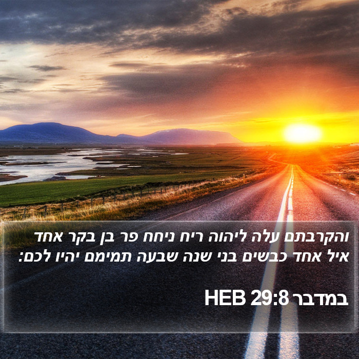 במדבר 29:8 HEB Bible Study