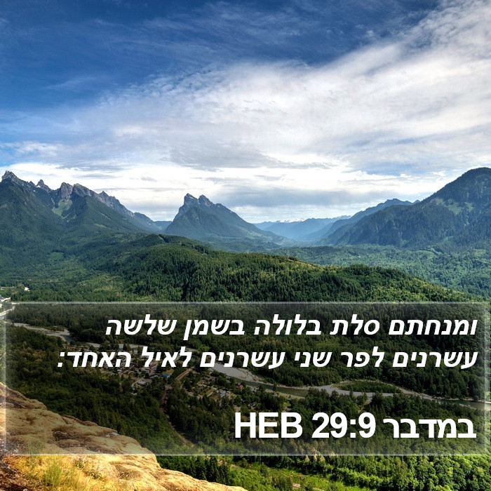 במדבר 29:9 HEB Bible Study