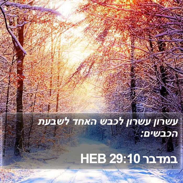 במדבר 29:10 HEB Bible Study