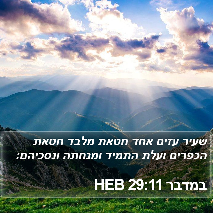 במדבר 29:11 HEB Bible Study