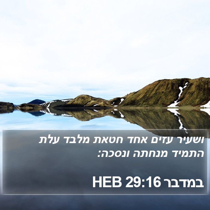 במדבר 29:16 HEB Bible Study