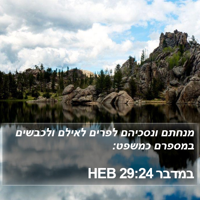 במדבר 29:24 HEB Bible Study