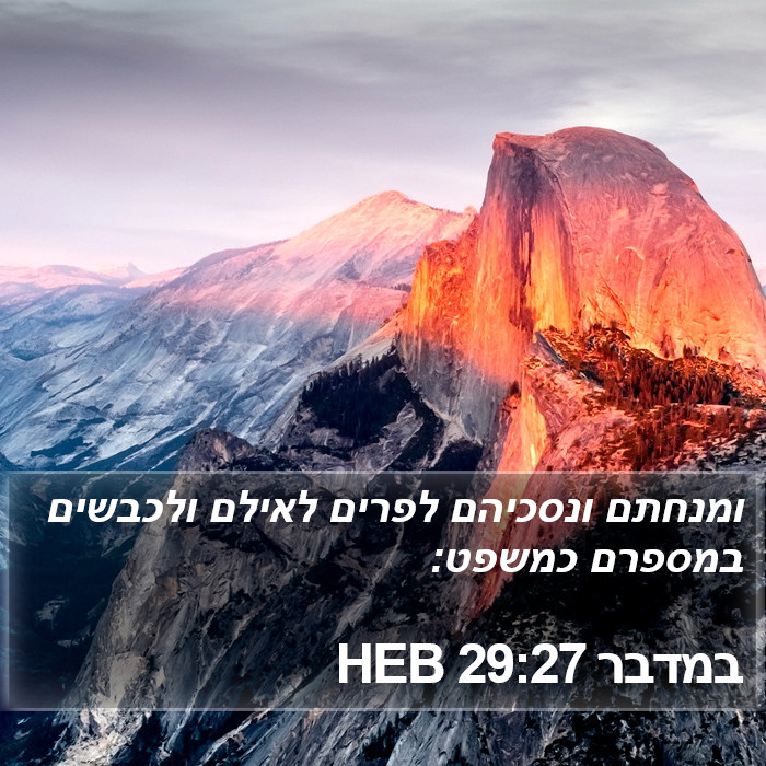 במדבר 29:27 HEB Bible Study