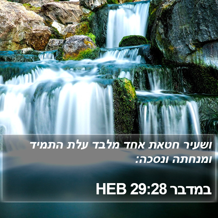 במדבר 29:28 HEB Bible Study