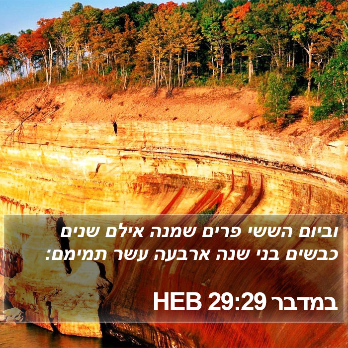 במדבר 29:29 HEB Bible Study